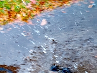 73540LeUsm - SPLOOSH!   Each New Day A Miracle  [  Understanding the Bible   |   Poetry   |   Story  ]- by Pete Rhebergen